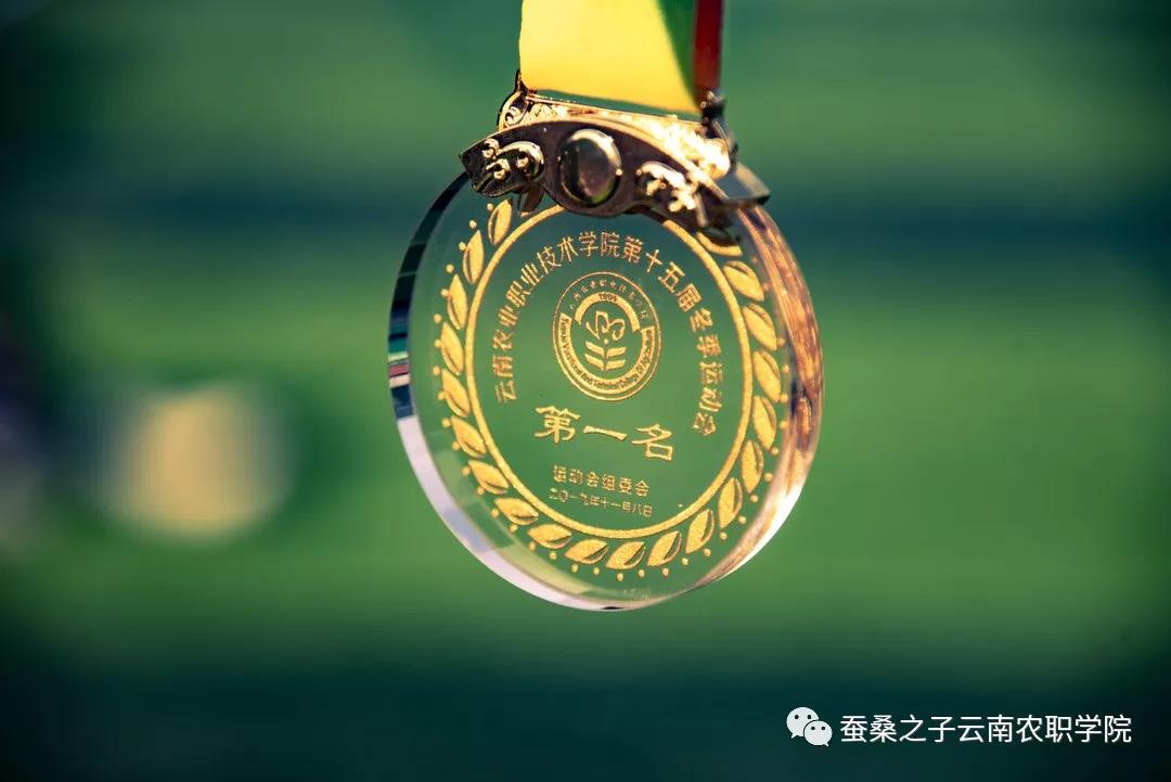 奖牌风云榜，与追逐梦想者同行！