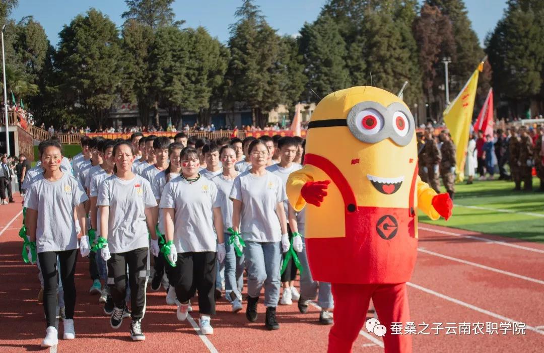拼搏2019，云南农职学院第15届冬季运动会回顾
