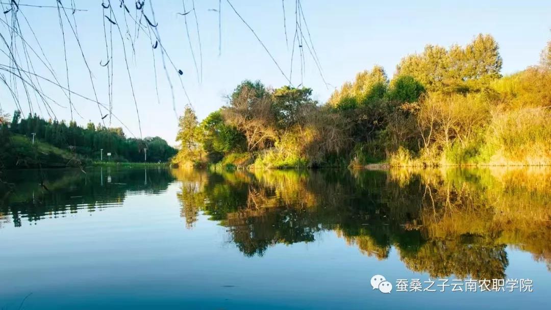 花语水镜中迎孟冬廿二之风采