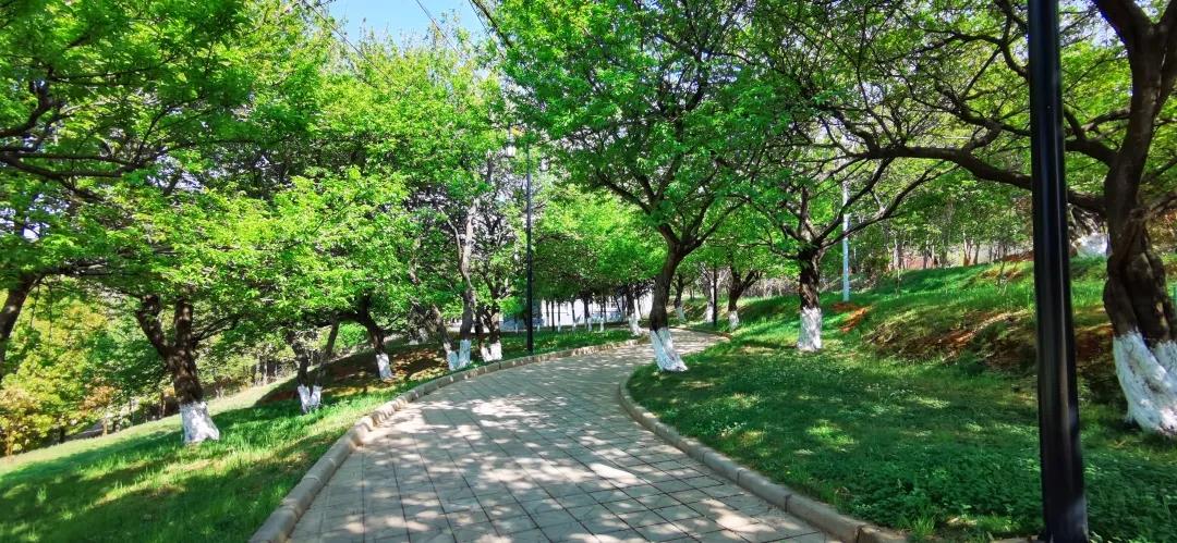 即将到来的4月，相约小哨云赏花