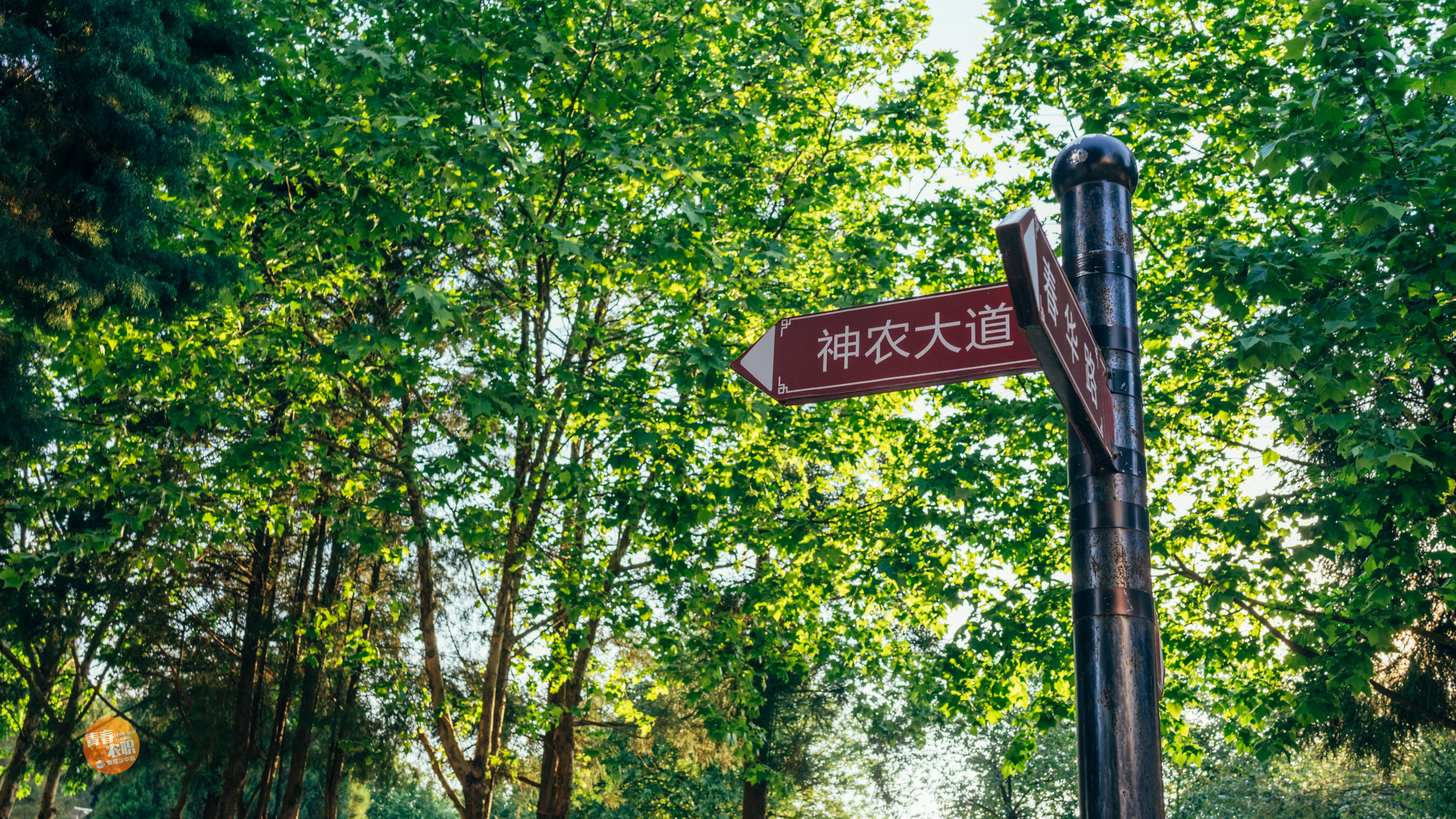 云南农业职业技术学院欢迎你—学校宣传片