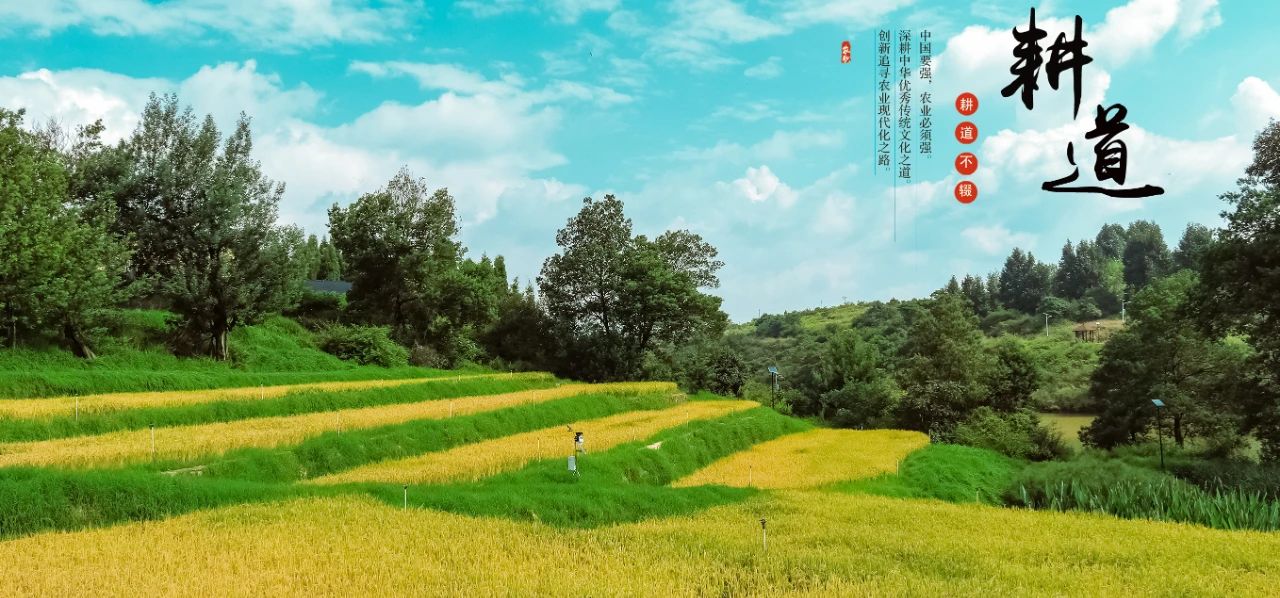 学院举办庆祝2020年中国农民丰收节系列活动