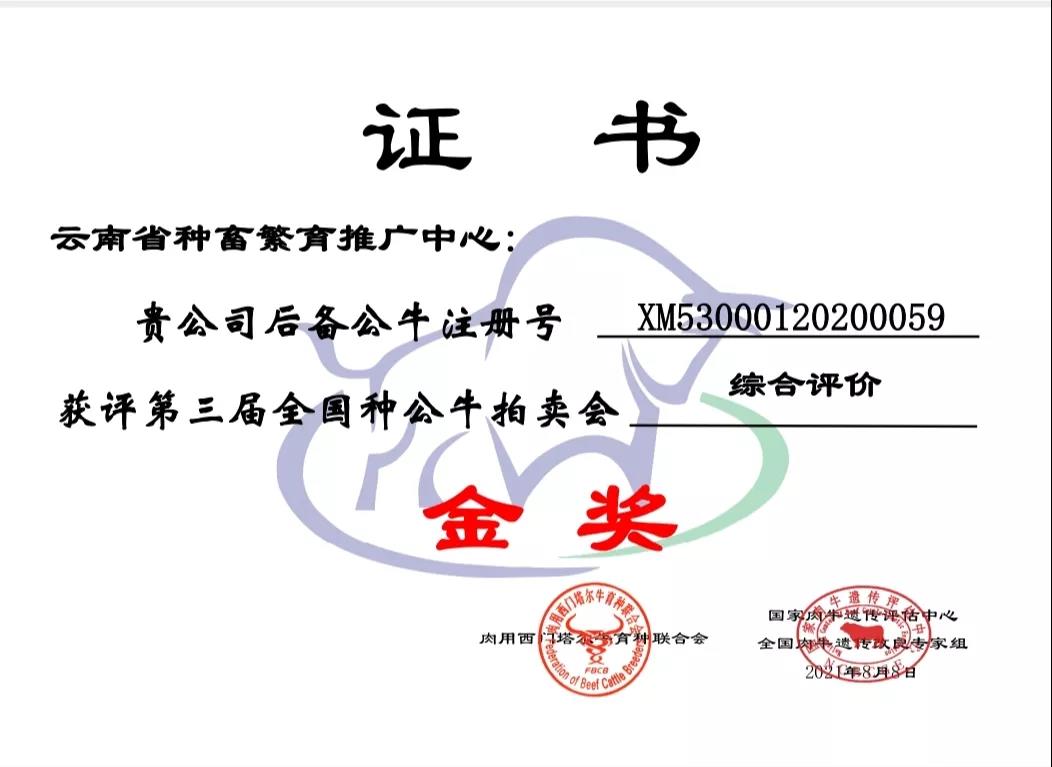 喜讯！云南农业职业技术学院种畜中心自主培育的种牛获得第三届全国种公牛拍卖会金奖